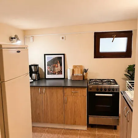 Apartment Sunny Old Town With Private Terrace Brasov